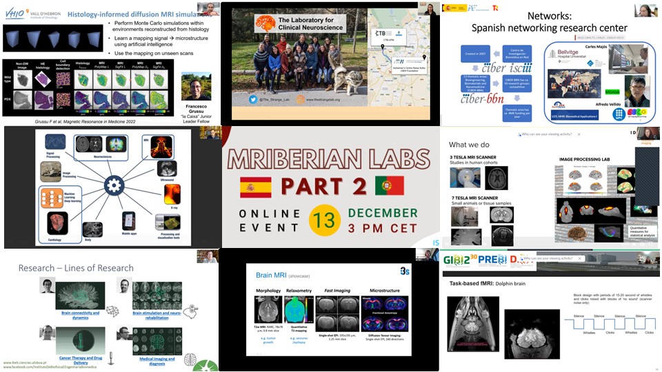 Recap - MRIberian Labs #2 Meeting